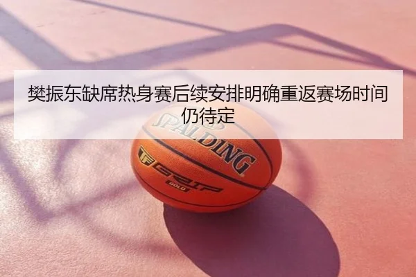 樊振东缺席热身赛后续安排明确重返赛场时间仍待定