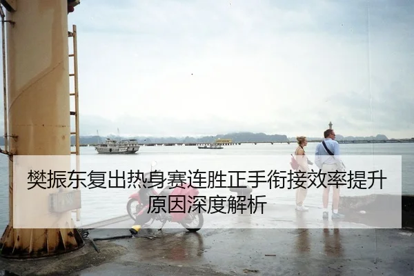 樊振东复出热身赛连胜正手衔接效率提升原因深度解析